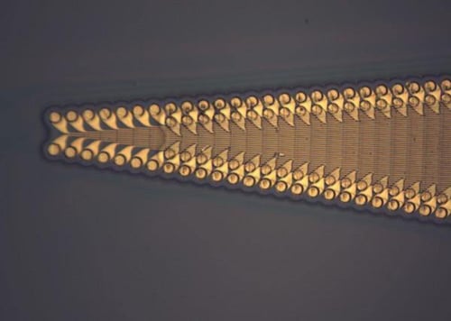 Lorem Ipsum: A Journey into Placeholder Text