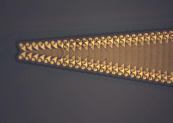 Lorem Ipsum: A Journey into Placeholder Text