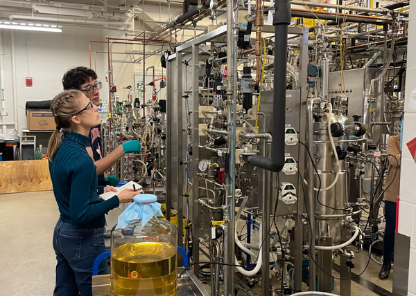 The Lorem Ipsum Phenomenon: Exploring Its Impact