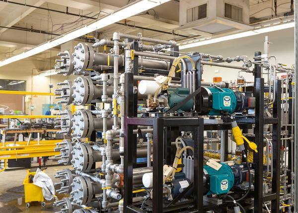 The Beauty of Lorem Ipsum: A Visual Exploration